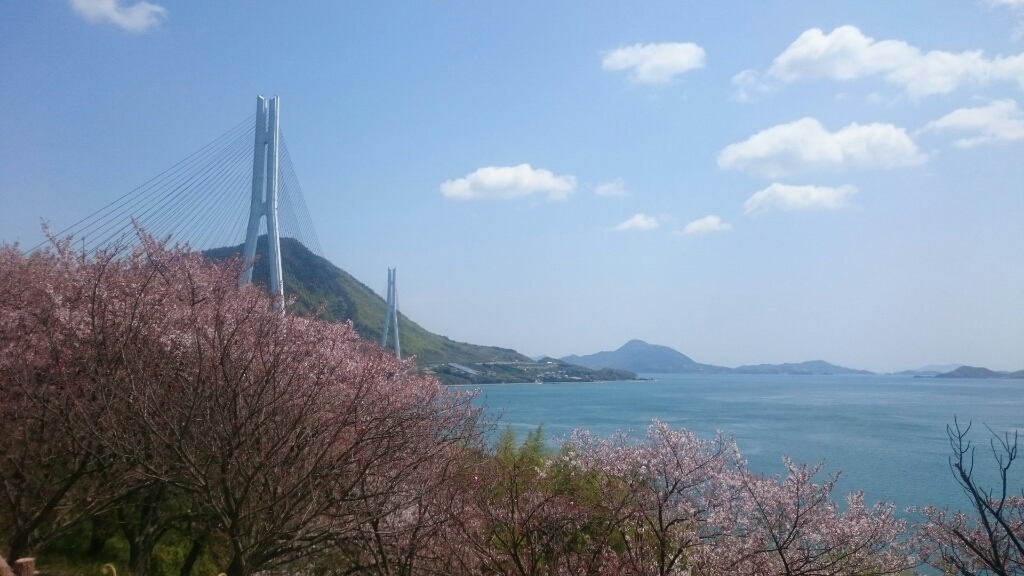a0202382_19302528.jpg