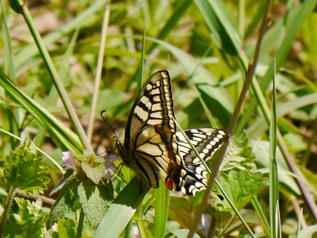 d0088184_17433606.jpg