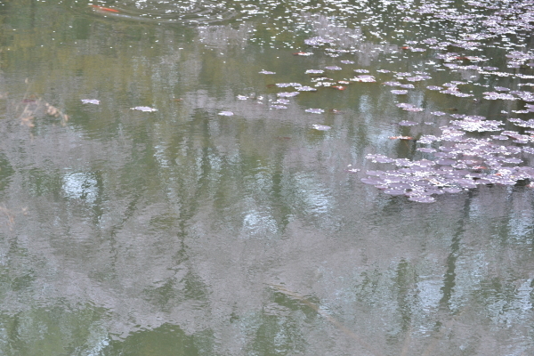 e0246788_10095919.jpg