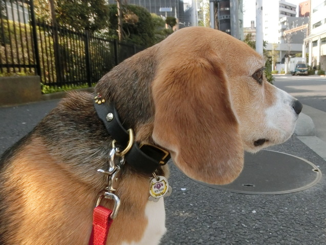 a0319693_8405389.jpg