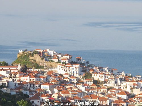 c0010496_07295166.jpg