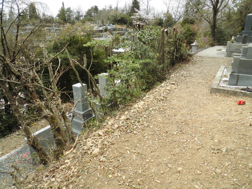c0108198_1614553.jpg