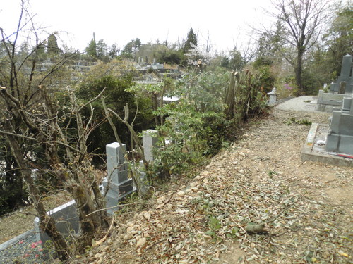 c0108198_1663327.jpg