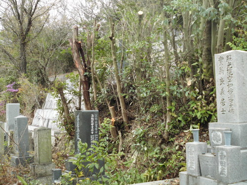 c0108198_1674416.jpg