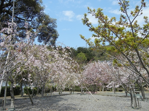 c0361298_21413869.jpg