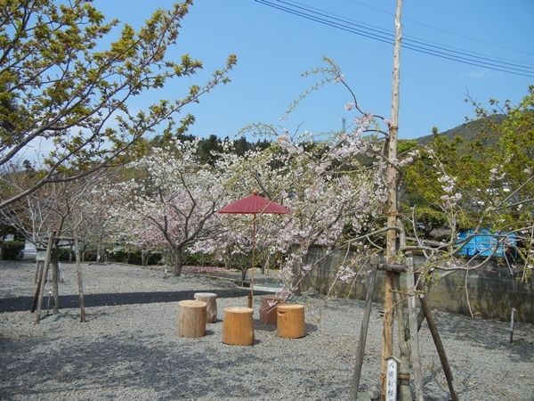 c0361298_22241073.jpg