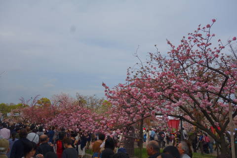 b0069604_21161024.jpg