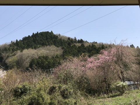 c0212604_13285476.jpg