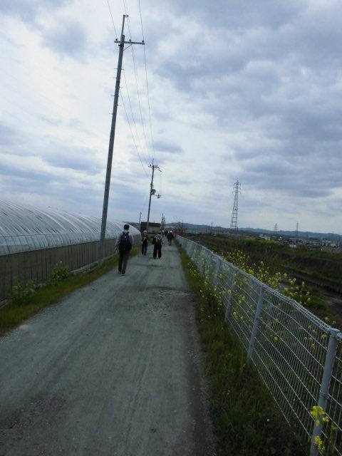 e0047608_20104201.jpg