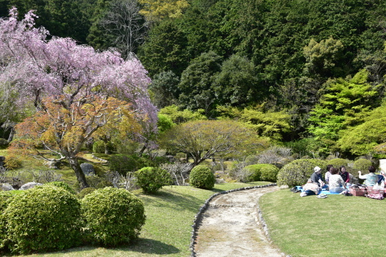 a0196709_00470911.jpg