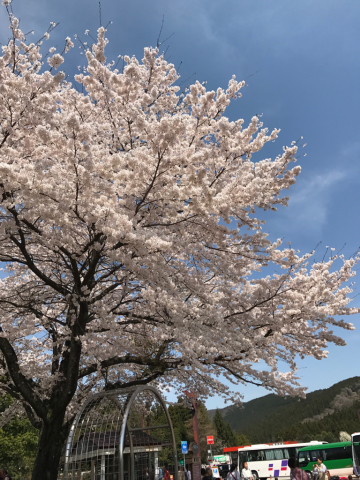 f0232910_23332051.jpg