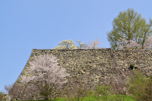 f0368610_22393975.jpg