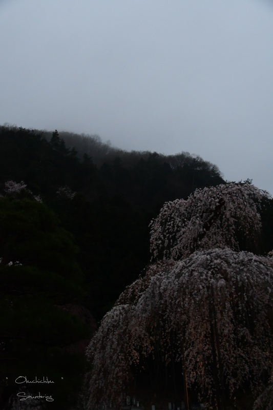 b0223512_20352500.jpg