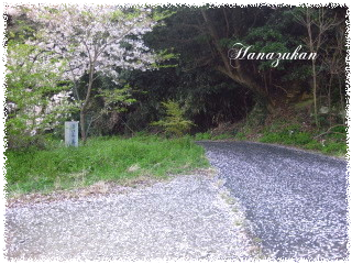 c0352015_17135300.png