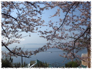 c0352015_17142410.png
