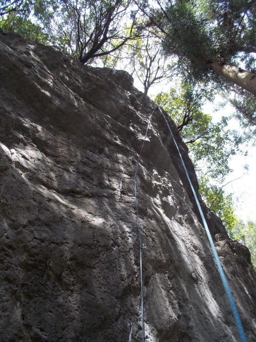 b0037220_23495750.jpg