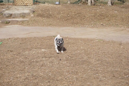 f0128821_22002910.jpg
