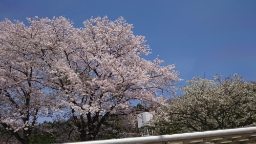 f0128821_22024706.jpg