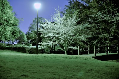 f0377222_01080334.jpg