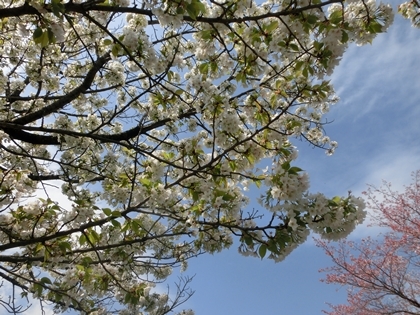 a0105023_21554005.jpg