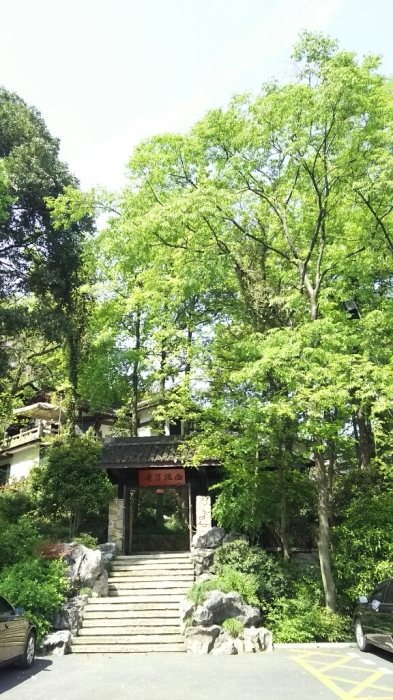 a0169924_12153778.jpg