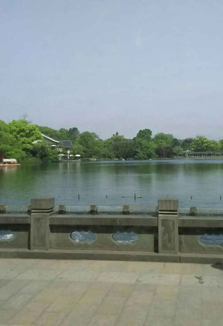 a0169924_12235430.jpg