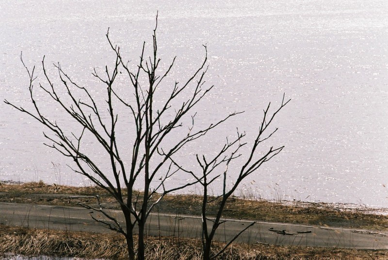 f0362725_20550437.jpg