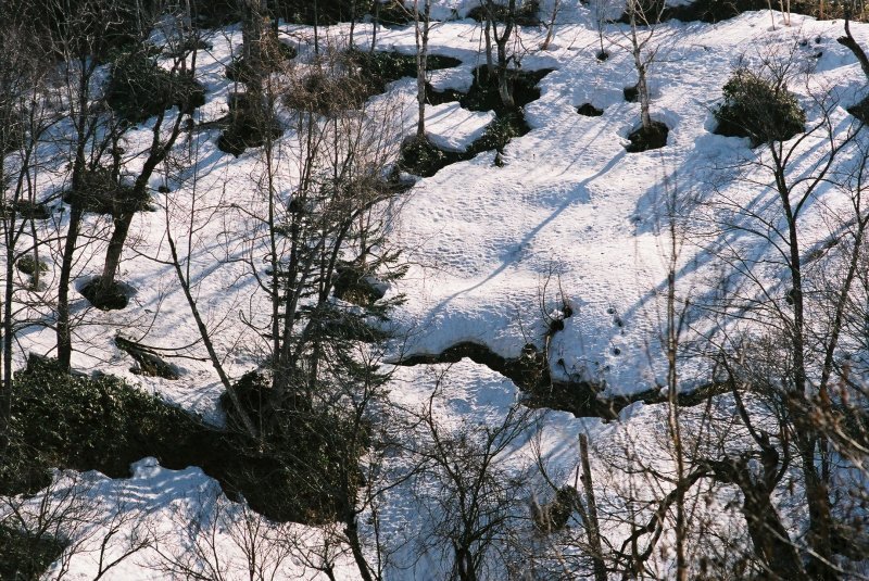 f0362725_20595574.jpg
