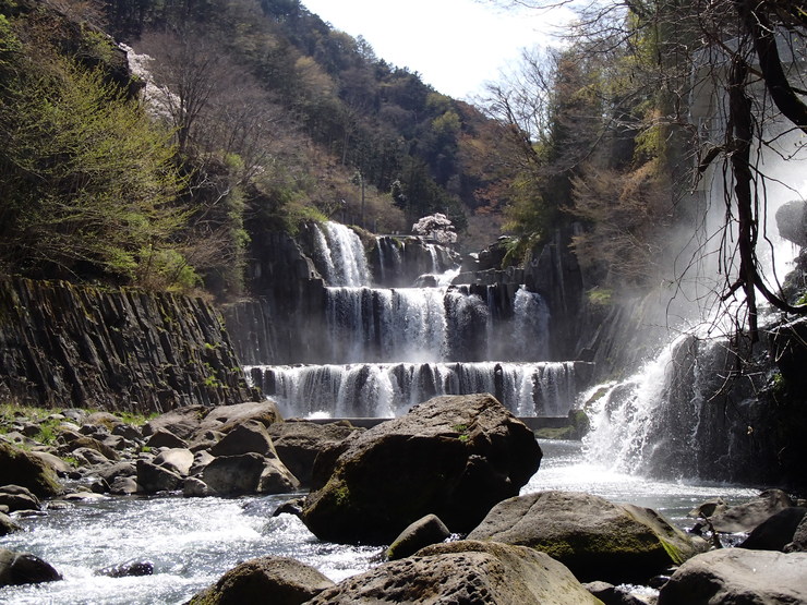 d0172227_2243461.jpg