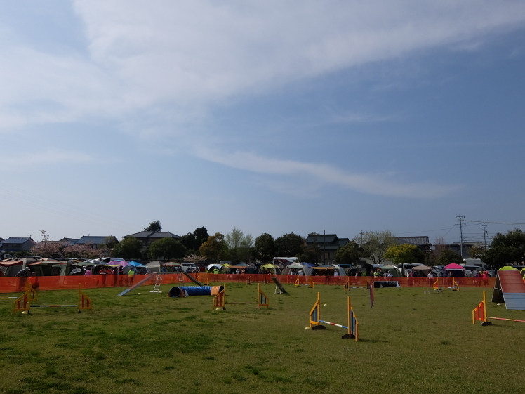 f0363628_23030801.jpg