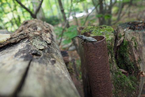 b0042334_17241954.jpg