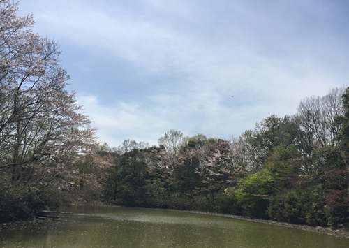 f0034334_18021496.jpg