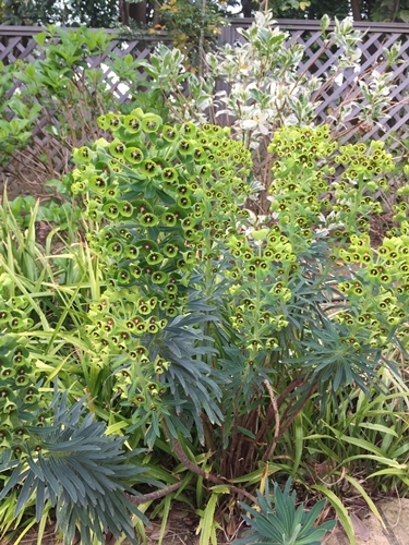 f0034334_18125548.jpg