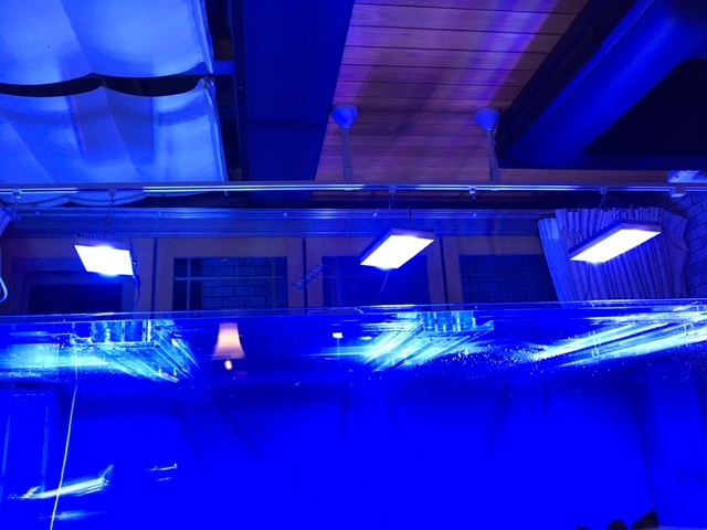 d0228343_16304765.jpg