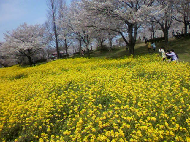 a0111545_15512987.jpg