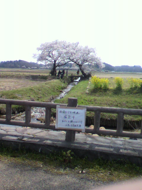 a0111545_15522865.jpg