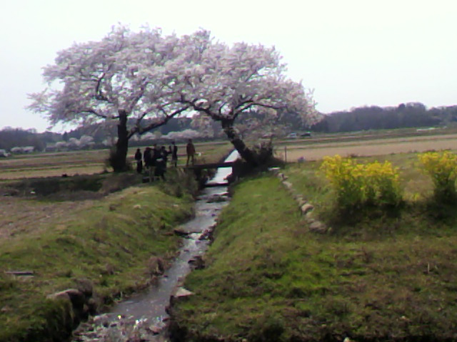 a0111545_15525496.jpg