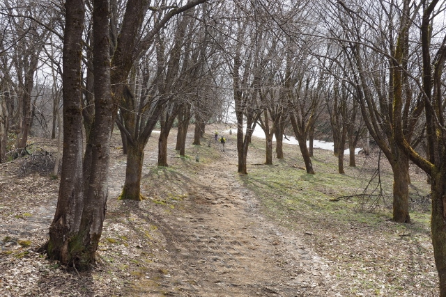 b0189948_22301074.jpg