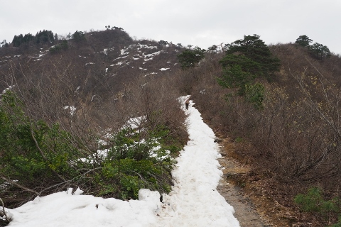 b0189948_22312744.jpg