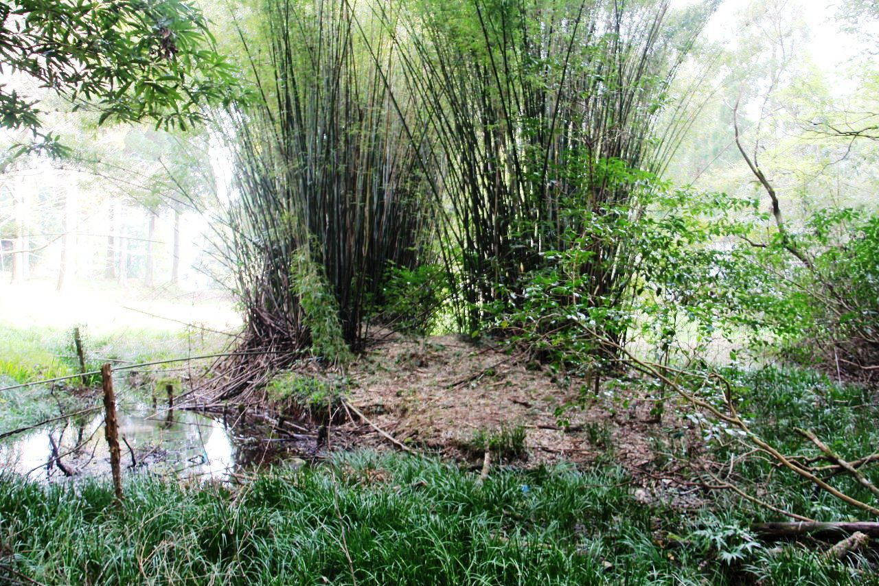 c0011649_13424919.jpg