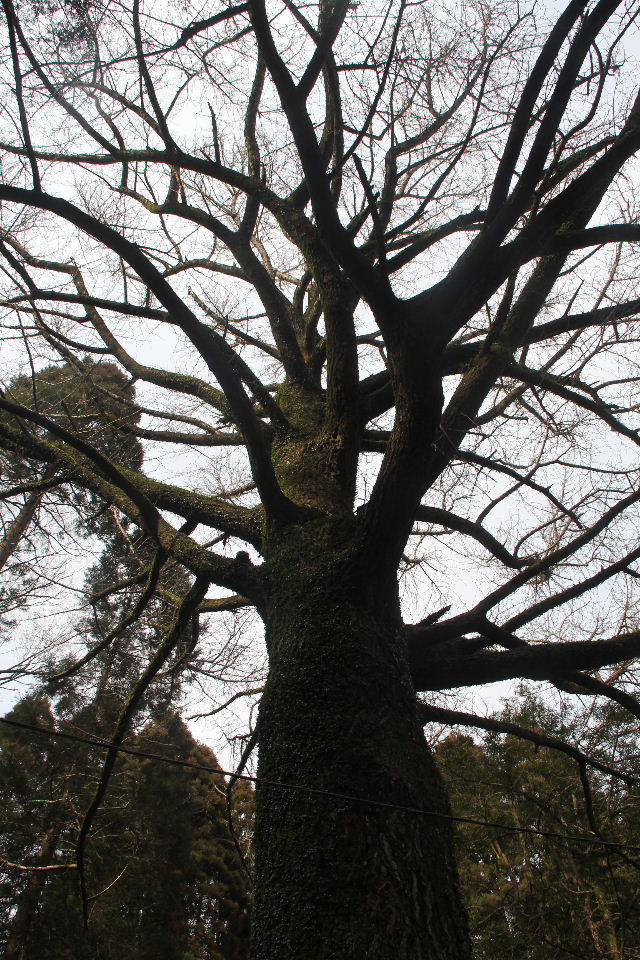 c0011649_14394276.jpg