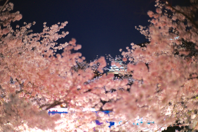 f0057849_2243770.jpg