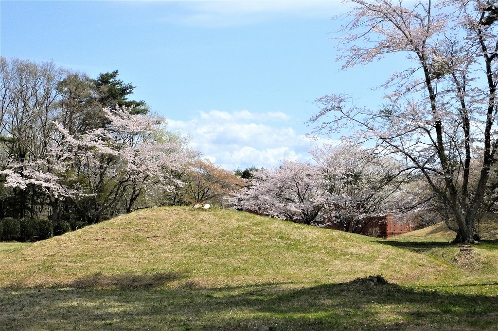 b0236251_10502965.jpg