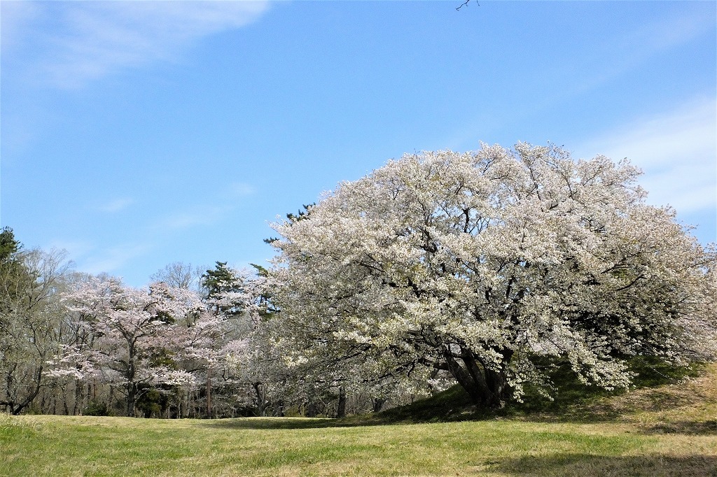 b0236251_10544280.jpg