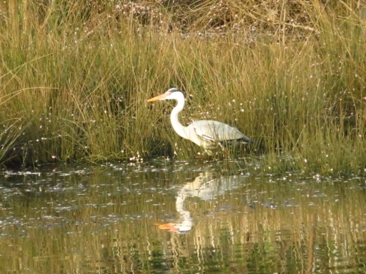 a0018655_14550451.jpg