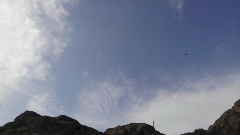 a0094455_19152165.jpg