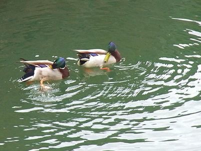 e0347056_16272210.jpg