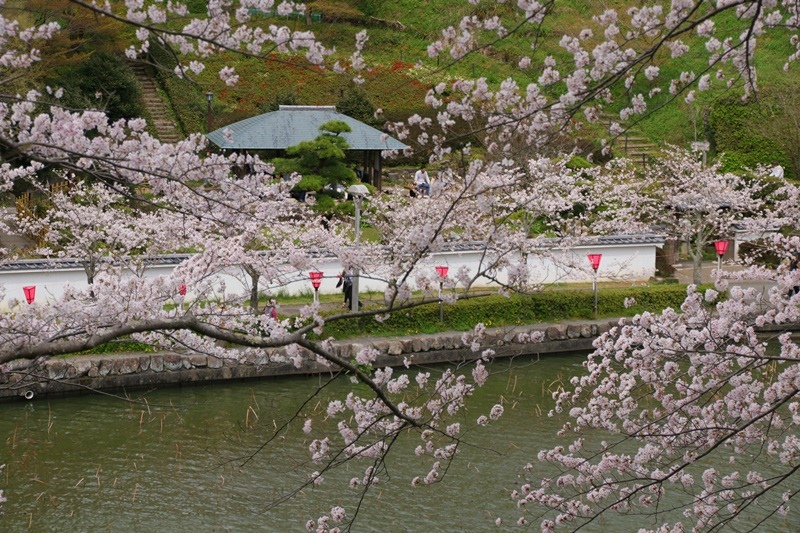 a0167759_0305168.jpg