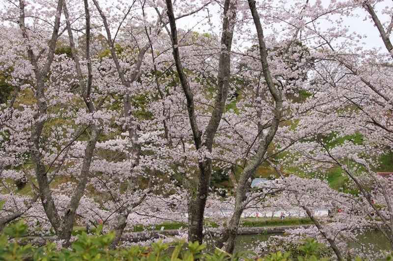 a0167759_031919.jpg