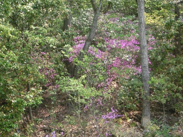 c0328559_16274726.jpg